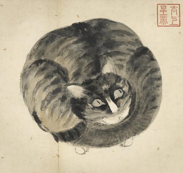 明沈周寫生　冊　貓
