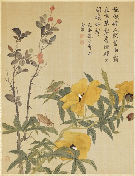 清馬元馭畫花卉　冊　秋葵螽斯