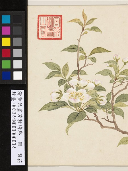 清董誥畫芳敷綺序　冊　梨花