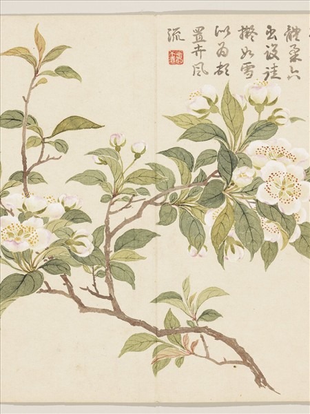 清董誥畫芳敷綺序　冊　梨花