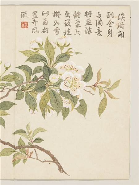 清董誥畫芳敷綺序　冊　梨花