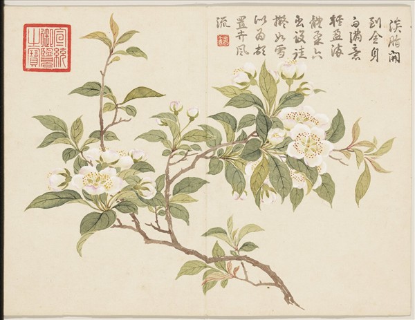 清董誥畫芳敷綺序　冊　梨花