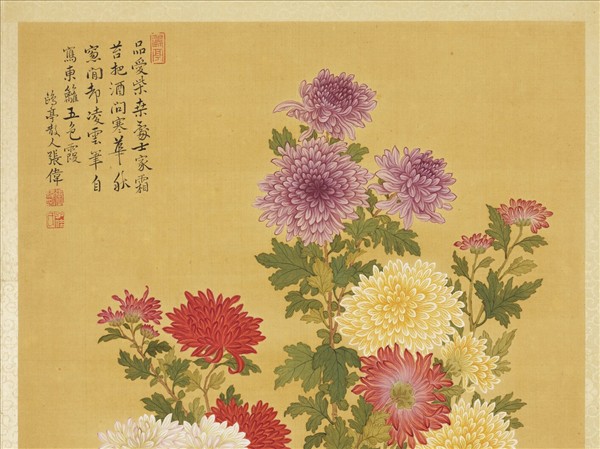 清張偉寫生花卉　冊　菊花