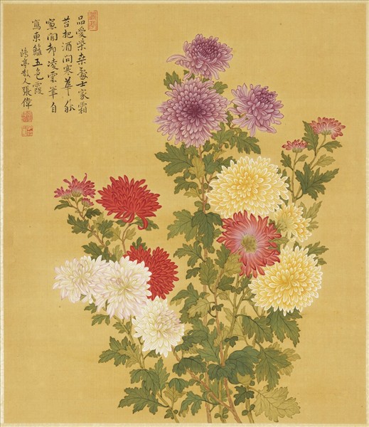 清張偉寫生花卉　冊　菊花