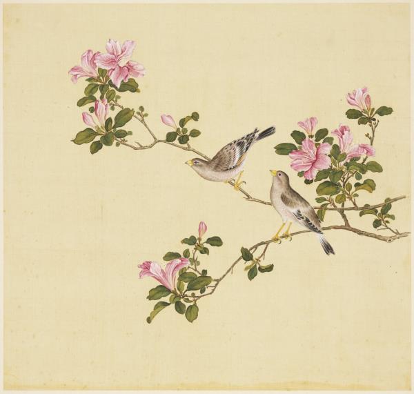 鳥譜（四）　冊　五更鳴