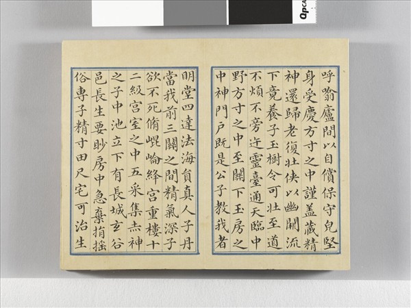 臨王羲之楷帖二種 冊