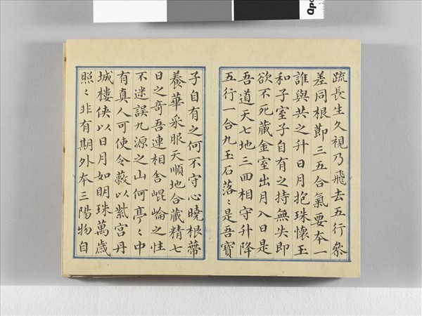 臨王羲之楷帖二種 冊