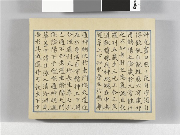 臨王羲之楷帖二種 冊