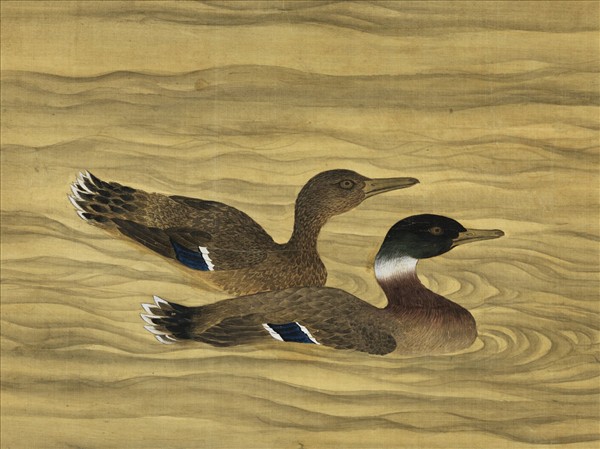 清高其佩花鳥寫生　軸