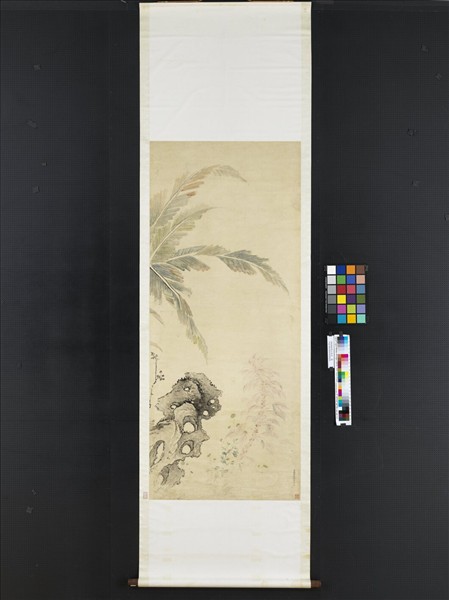 清錢維城蕉石秋花　軸