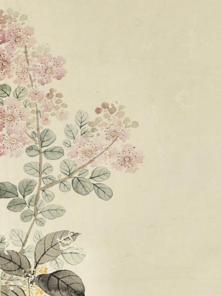 清關槐紫微金桂　軸