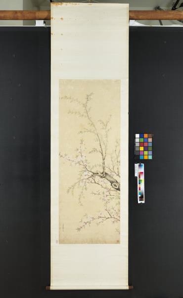 清關槐桃花楊柳　軸