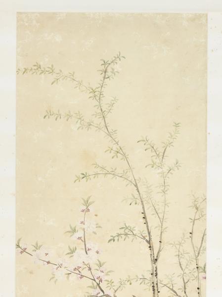 清關槐桃花楊柳　軸