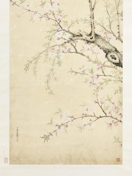 清關槐桃花楊柳　軸