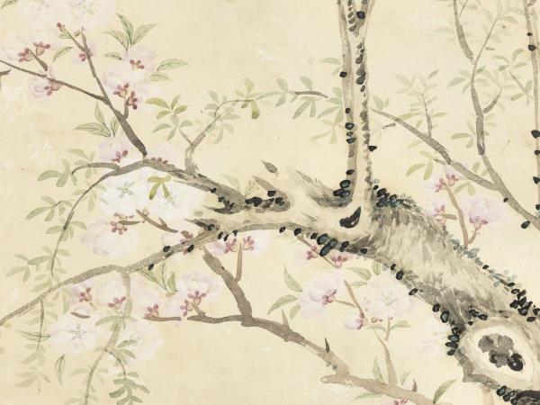 清關槐桃花楊柳　軸