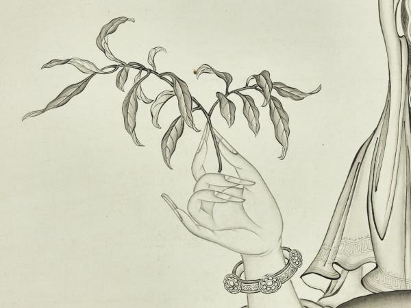 清楊大章甘露大士　軸