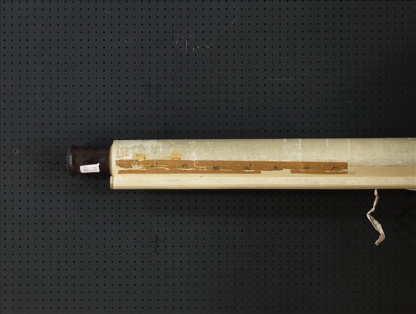 清陳舒畫天中佳卉　軸