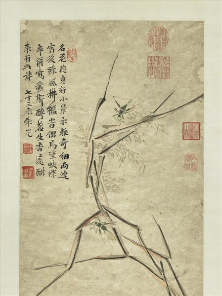 明朱先草蟲　軸