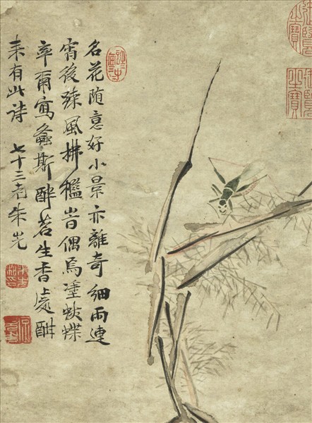 明朱先草蟲　軸