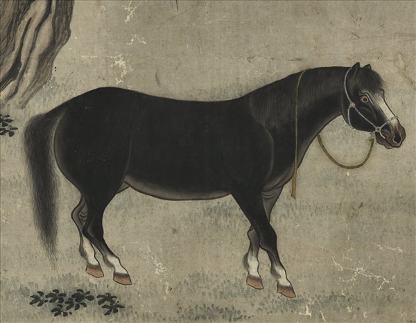 清周璕畫馬　軸