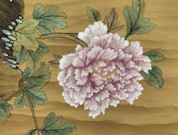 清蔣廷錫畫牡丹　軸