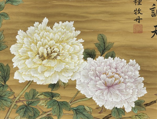 清蔣廷錫畫牡丹　軸