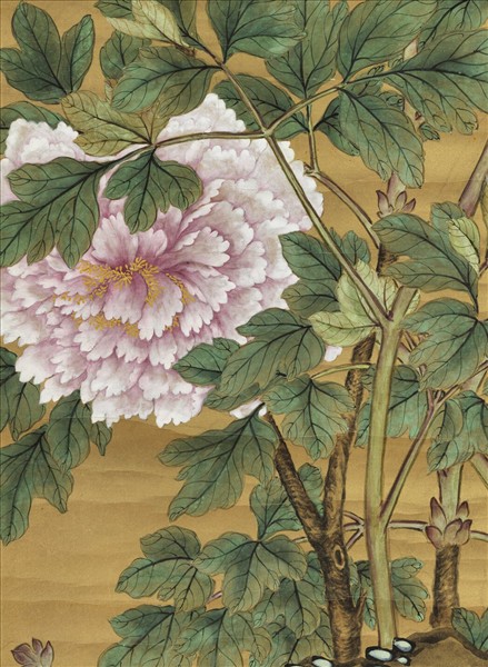 清蔣廷錫畫牡丹　軸