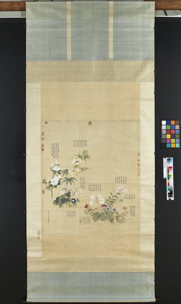 清鄒一桂秋花九種　軸