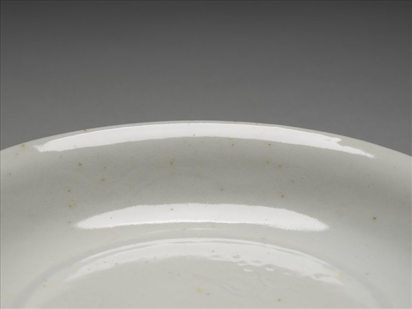 霽青釉白裡雙龍紋盤