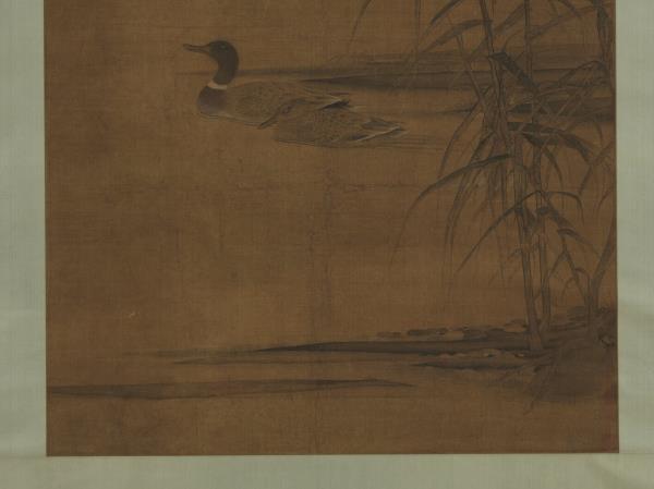 宋人蘆汀雙鴨　軸