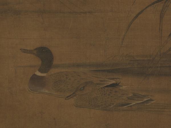 宋人蘆汀雙鴨　軸