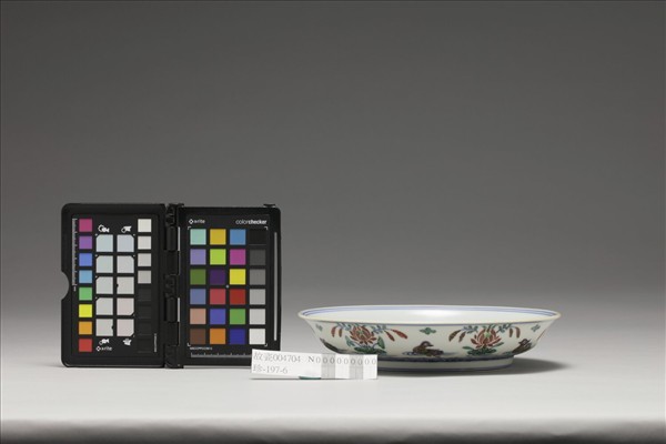 鬥彩蓮塘鴛鴦紋盤