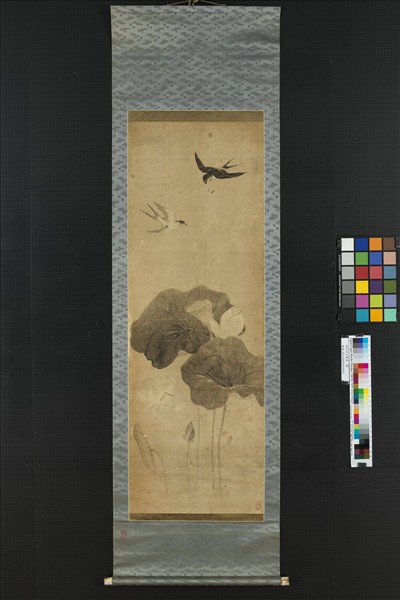 無款荷花雙燕　軸