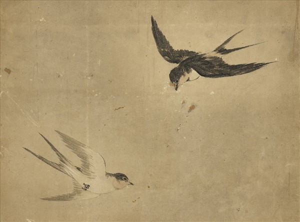 無款荷花雙燕　軸