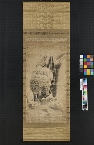 無款蒼鷹捕狸　軸