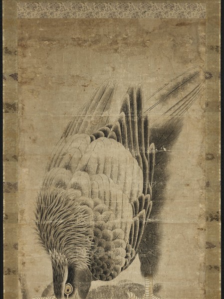 無款蒼鷹捕狸　軸