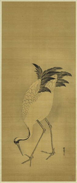 日本探幽守信老鶴啄苔圖　軸