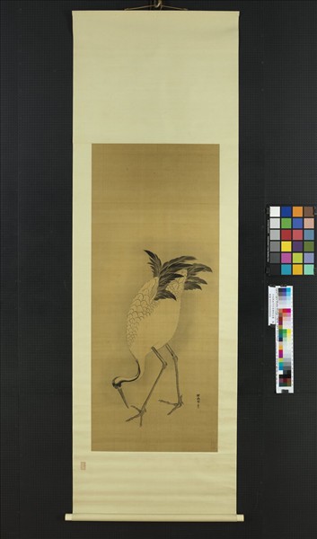 日本探幽守信老鶴啄苔圖　軸