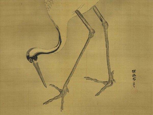 日本探幽守信老鶴啄苔圖　軸