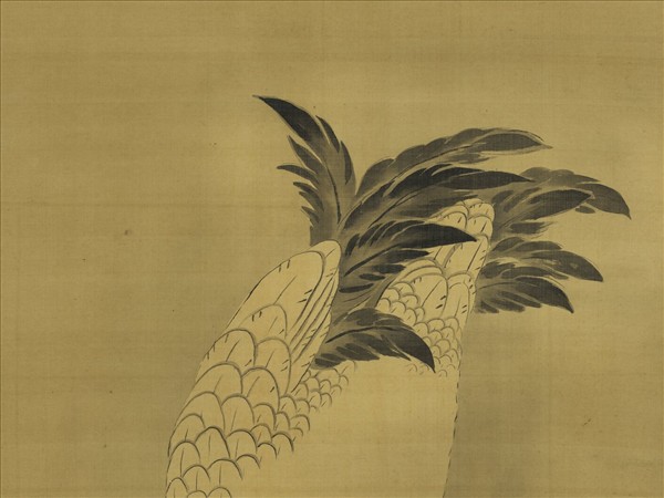 日本探幽守信老鶴啄苔圖　軸