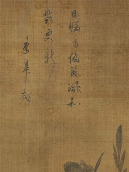 日本東皋越畫牡丹　軸