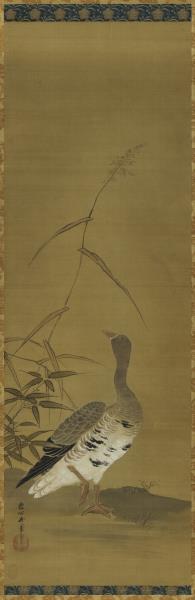 日本狩野安信蘆雁　軸