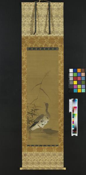 日本狩野安信蘆雁　軸