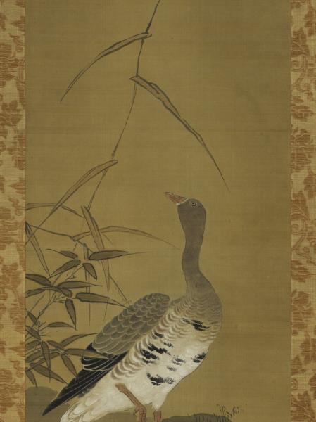日本狩野安信蘆雁　軸
