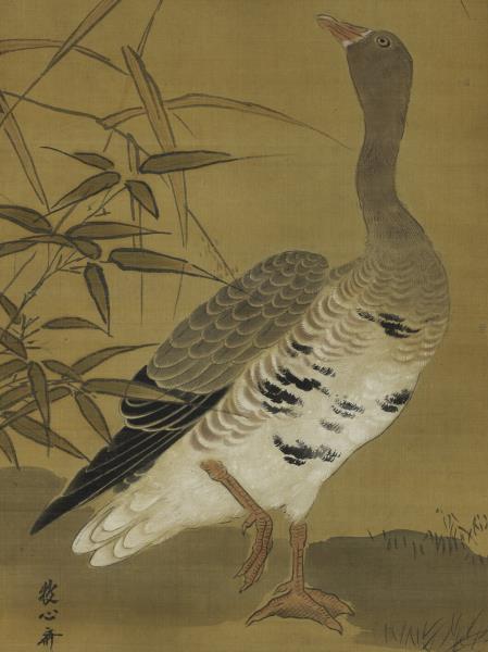 日本狩野安信蘆雁　軸