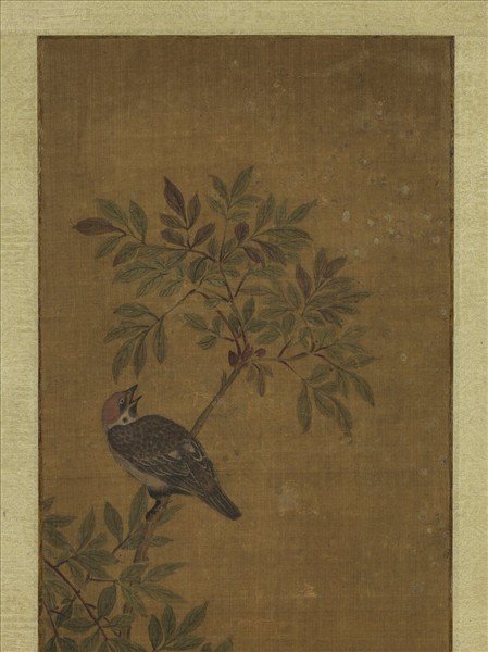 無款天竺麻雀　軸