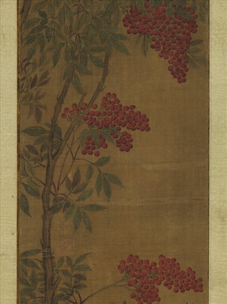 無款天竺麻雀　軸