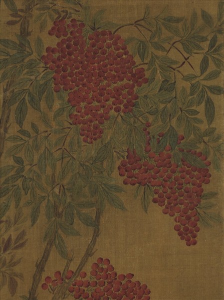 無款天竺麻雀　軸