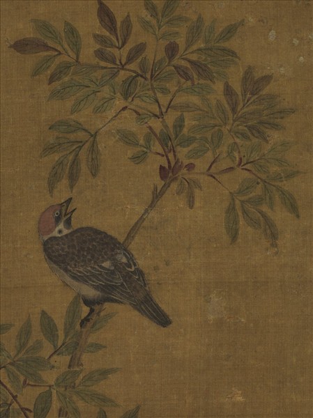 無款天竺麻雀　軸