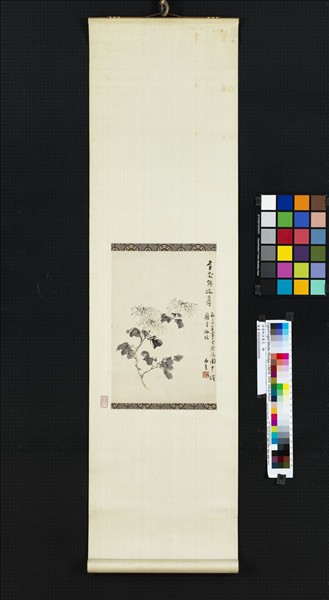 清湯貽汾黃花　軸